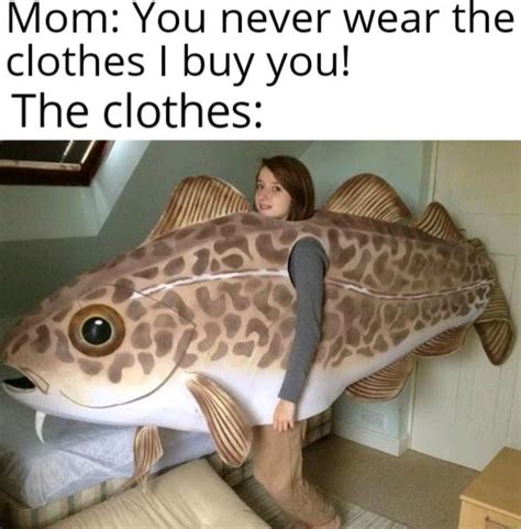 fake clothes meme